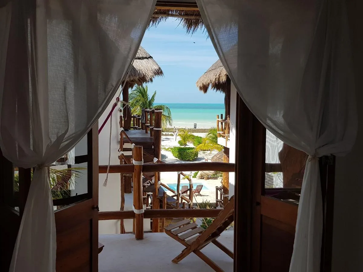 Ventana Al Paraiso Beach Front Hotel Adults Only Isla Holbox