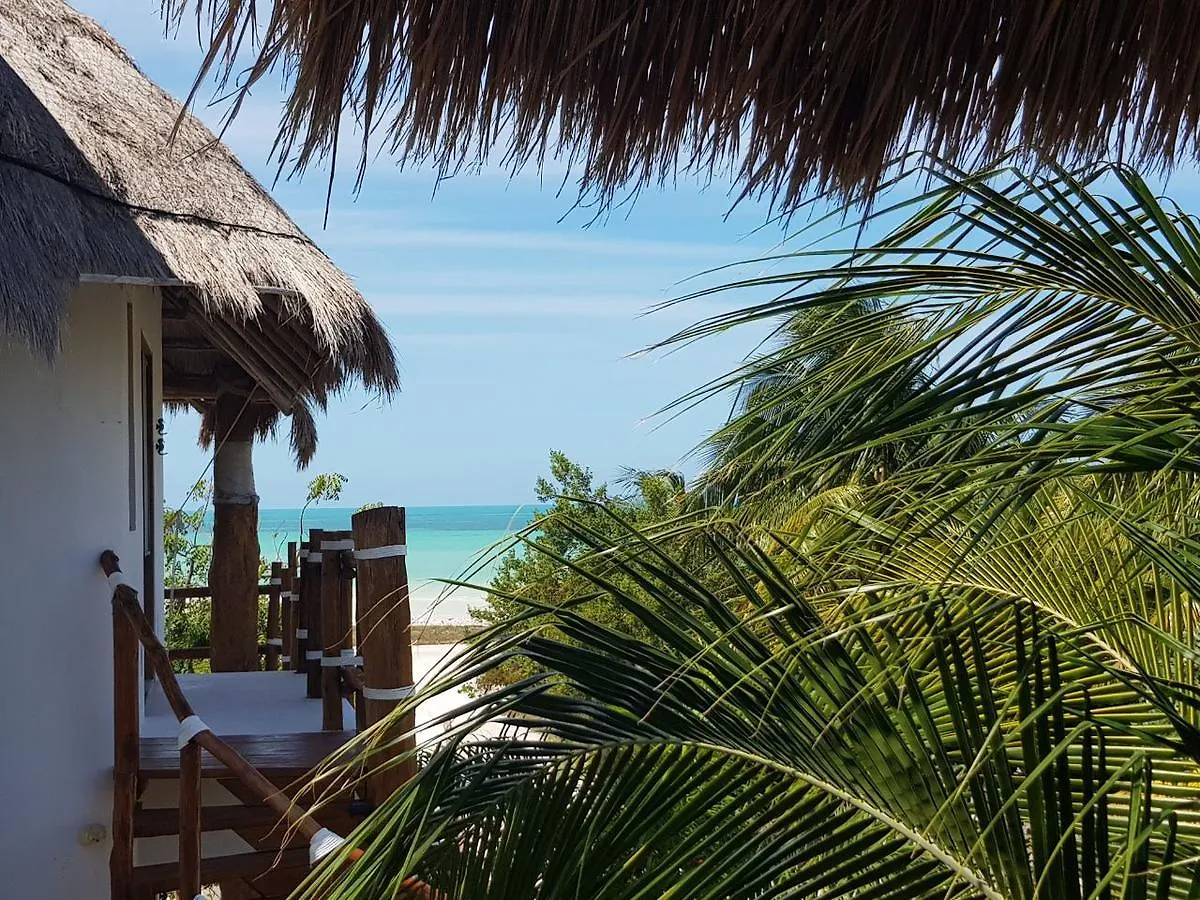 Ventana Al Paraiso Beach Front Hotel Adults Only Isla Holbox