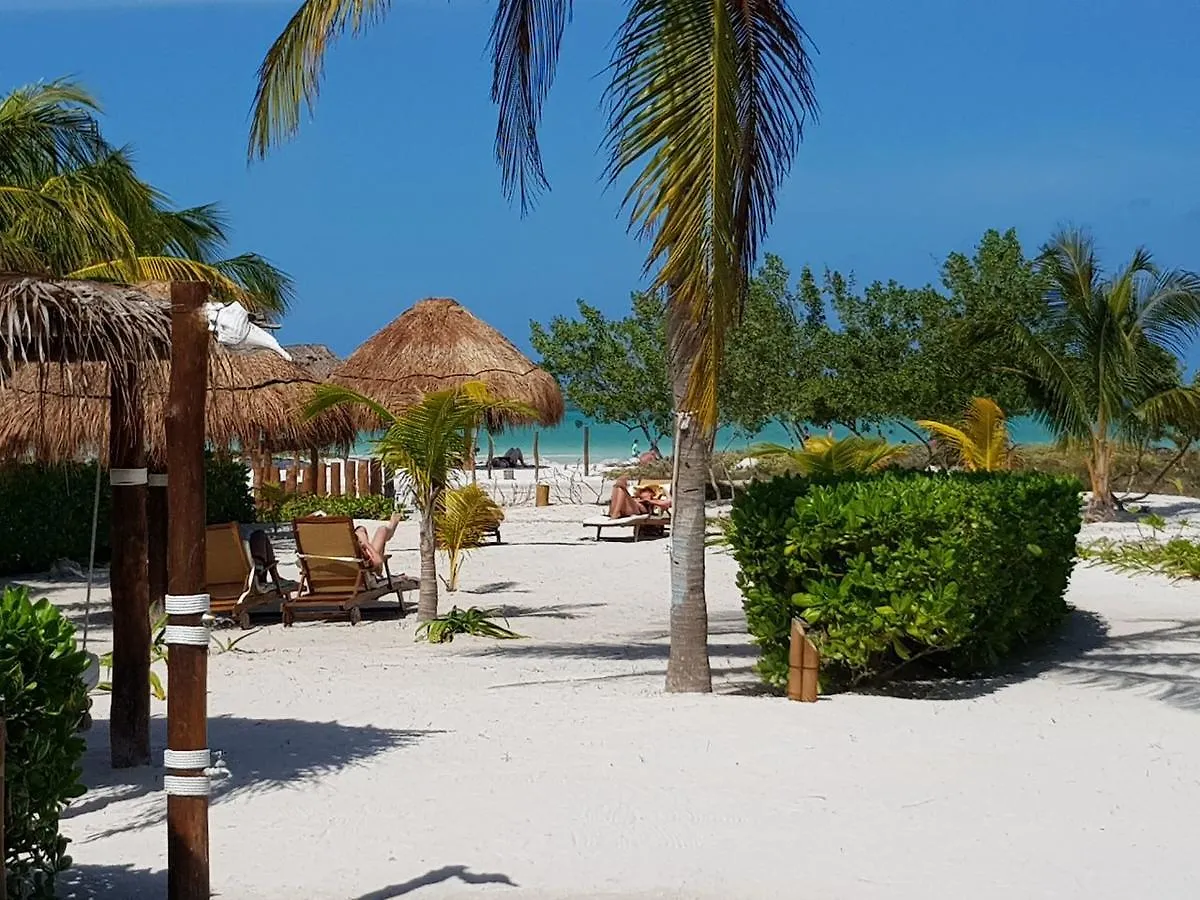 Ventana Al Paraiso Beach Front Hotel Adults Only Isla Holbox