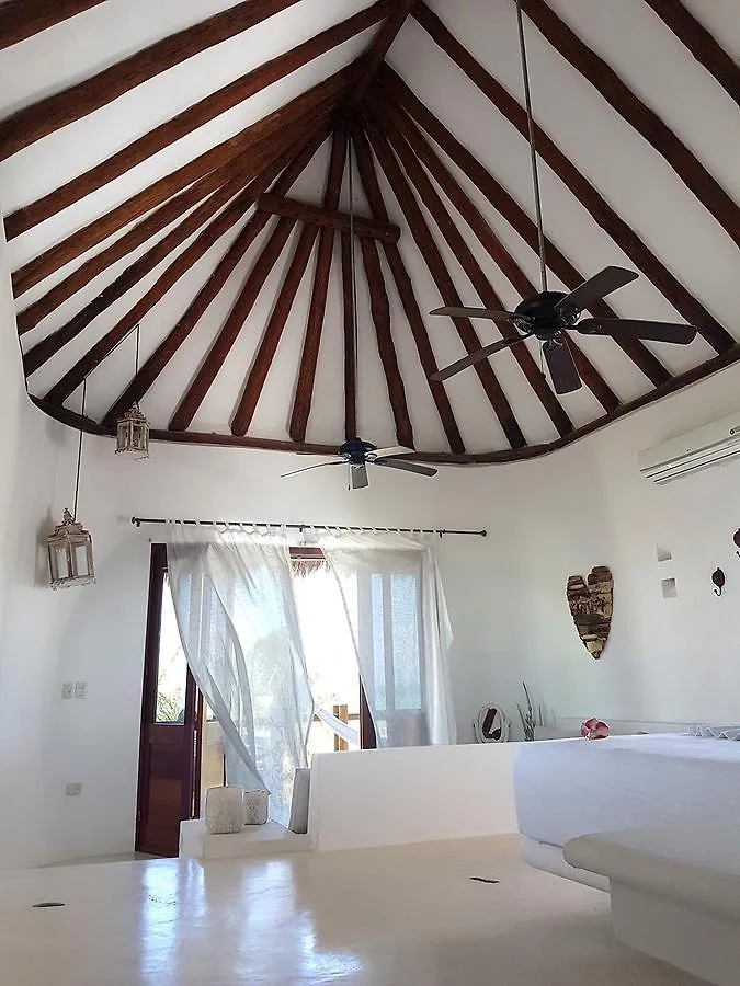 Ventana Al Paraiso Beach Front Hotel Adults Only Isla Holbox