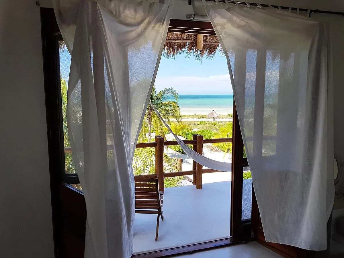 Ventana Al Paraiso Beach Front Hotel Adults Only Isla Holbox