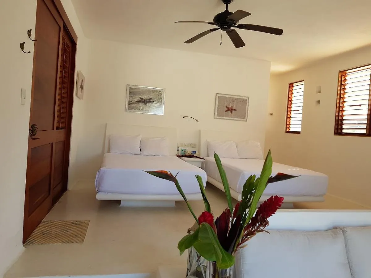 Ventana Al Paraiso Beach Front Hotel Adults Only Isla Holbox 3*,  Mexico