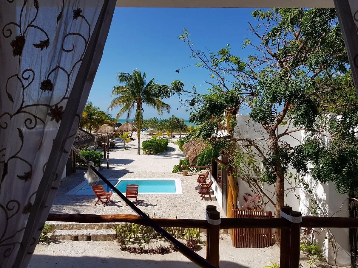 Ventana Al Paraiso Beach Front Hotel Adults Only Isla Holbox